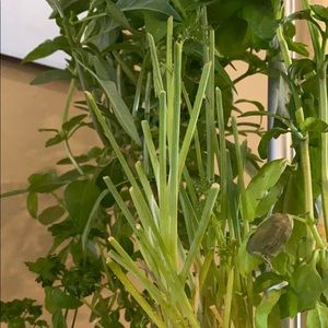 Meet your Posher, Noah